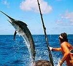 Costa Rica Big Game Sportfishing