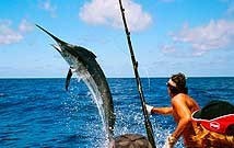 Costa Rica Big Game Sportfishing