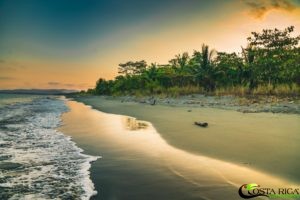 Visit Osa Peninsula trip to Costa Rica can change your life