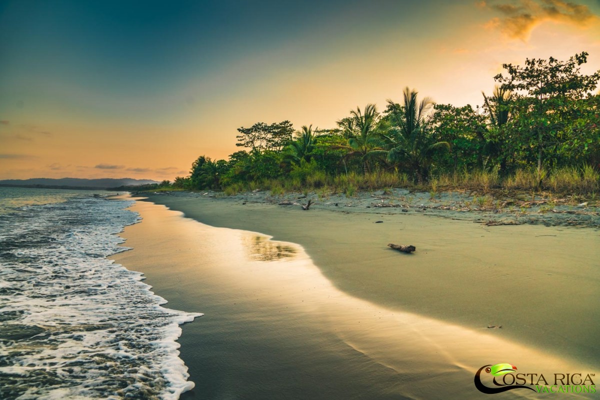 Visit Osa Peninsula trip to Costa Rica can change your life