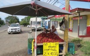 Costa Rica Fruit